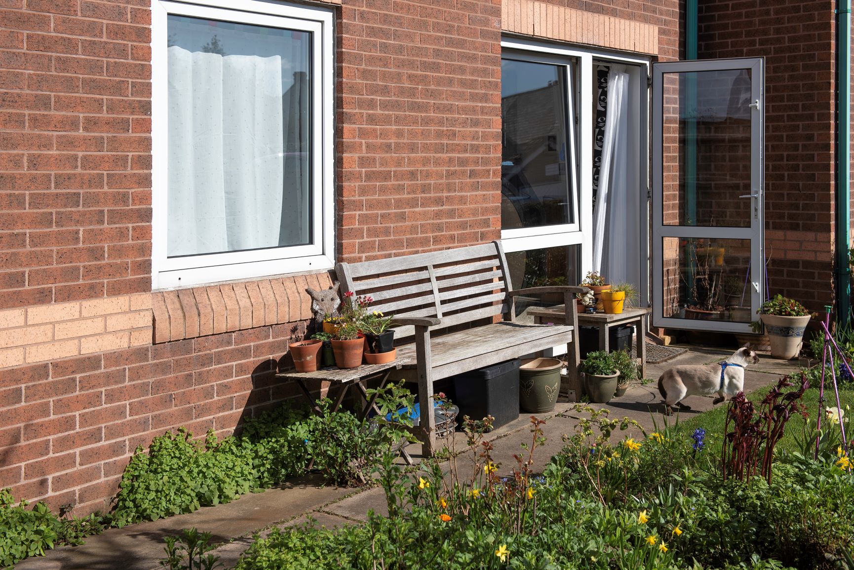 outside-3699 - Need 2 ViewNeed 2 View