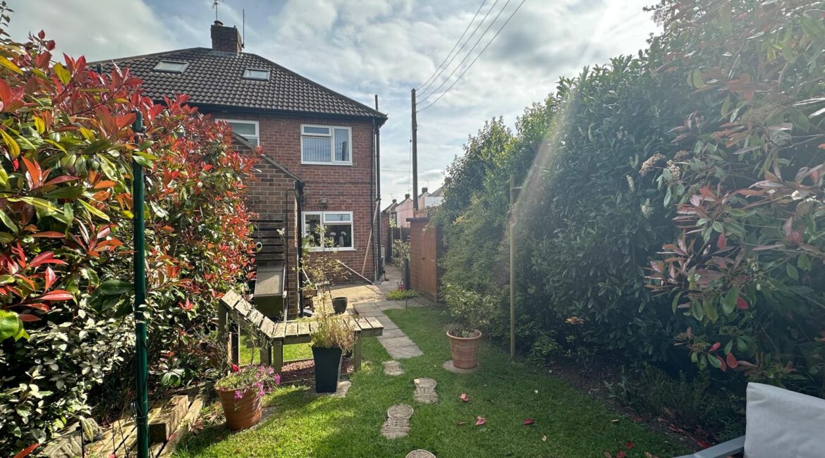 Garden 2